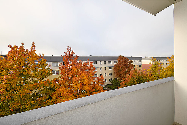 Ausblick: 3-Raum-Wohnung Schilfstraße 13
